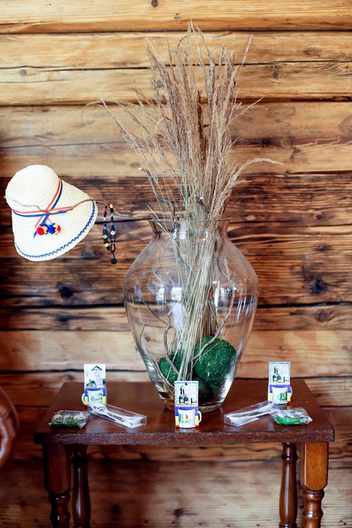 Landhaus Bed&Breakfast Viseu de Sus Bagian luar foto