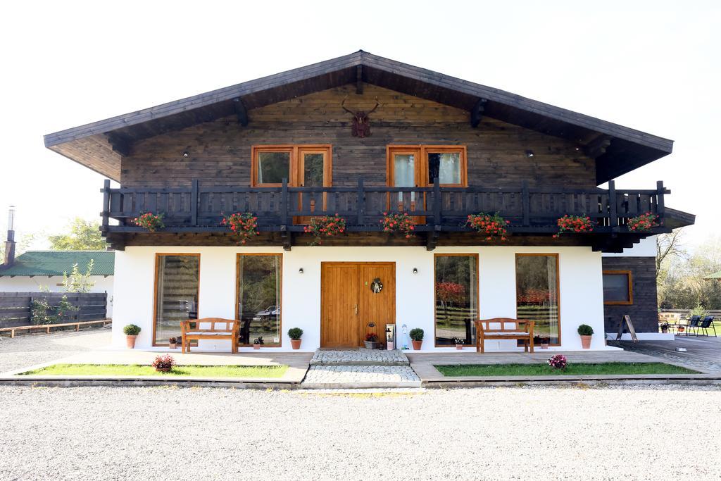Landhaus Bed&Breakfast Viseu de Sus Bagian luar foto