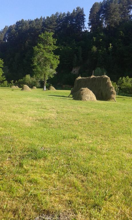 Landhaus Bed&Breakfast Viseu de Sus Bagian luar foto